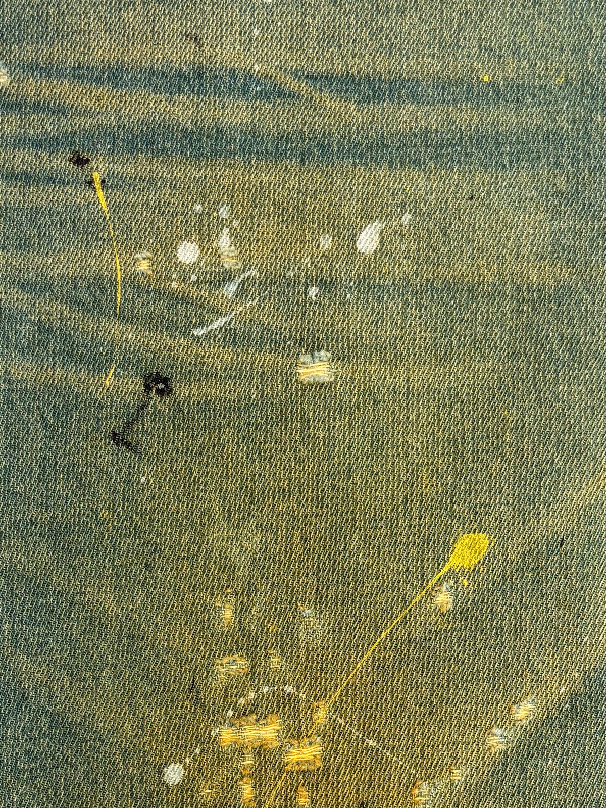 CIS02991